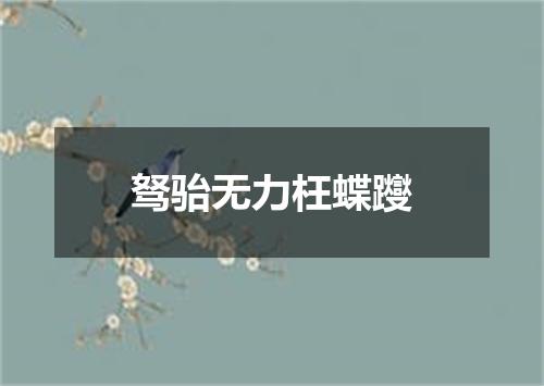 驽骀无力枉蝶躞