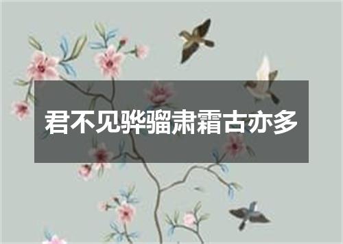君不见骅骝肃霜古亦多