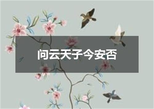 问云天子今安否