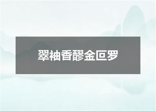 翠袖香醪金叵罗
