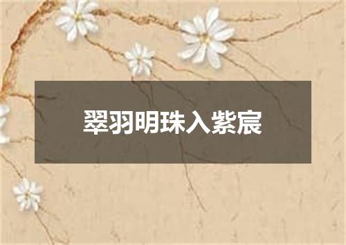翠羽明珠入紫宸