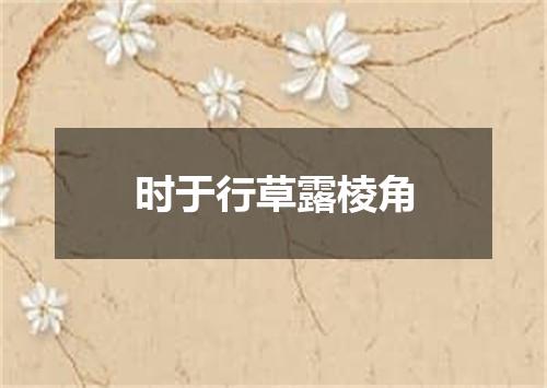 时于行草露棱角