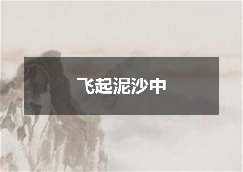 飞起泥沙中