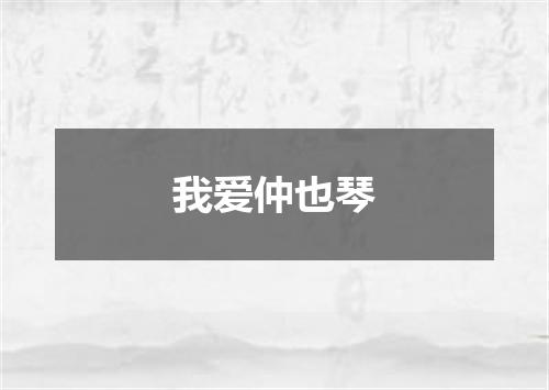 我爱仲也琴