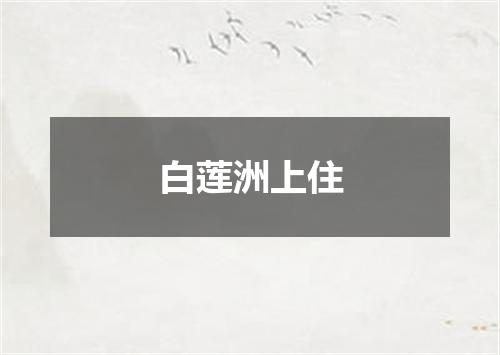 白莲洲上住
