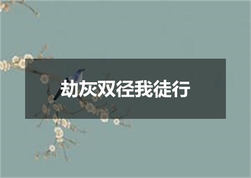 劫灰双径我徒行