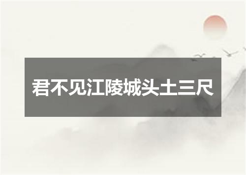 君不见江陵城头土三尺
