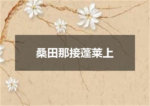 桑田那接蓬莱上