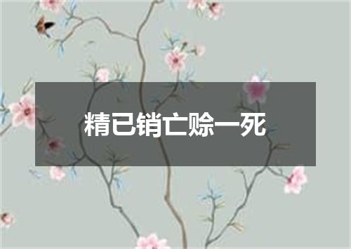 精已销亡赊一死