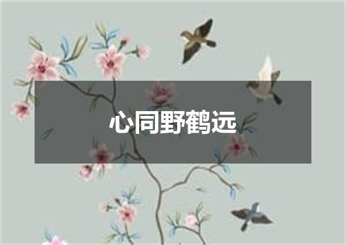 心同野鹤远