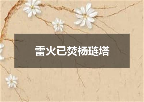 雷火已焚杨琏塔