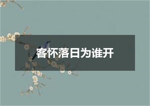 客怀落日为谁开