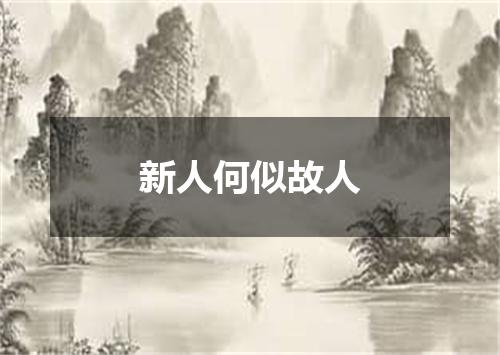 新人何似故人