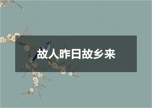 故人昨日故乡来