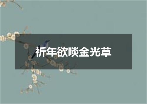 祈年欲啖金光草