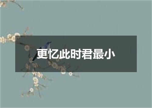 更忆此时君最小