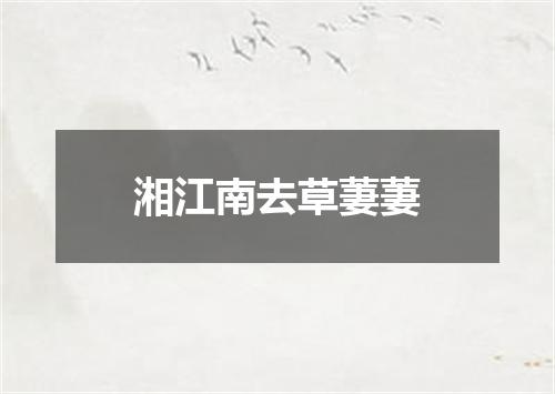 湘江南去草萋萋