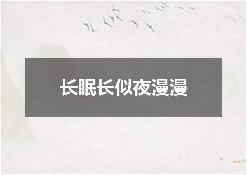 长眠长似夜漫漫