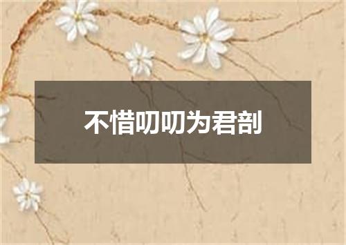 不惜叨叨为君剖