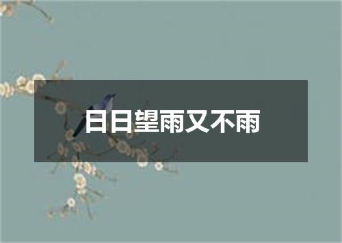 日日望雨又不雨