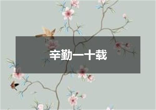 辛勤一十载
