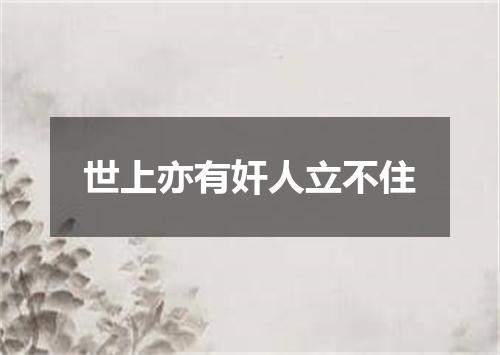 世上亦有奸人立不住