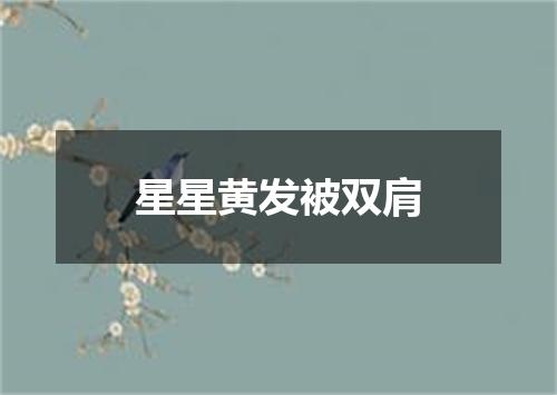 星星黄发被双肩