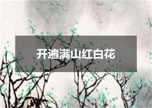 开遍满山红白花