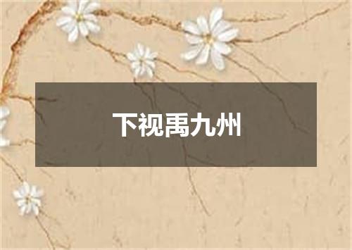 下视禹九州