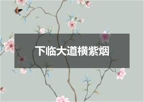 下临大道横紫烟