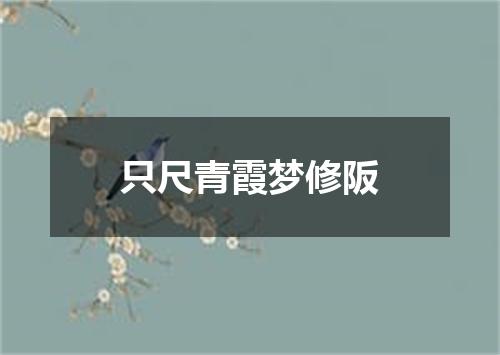 只尺青霞梦修阪