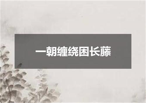 一朝缠绕困长藤