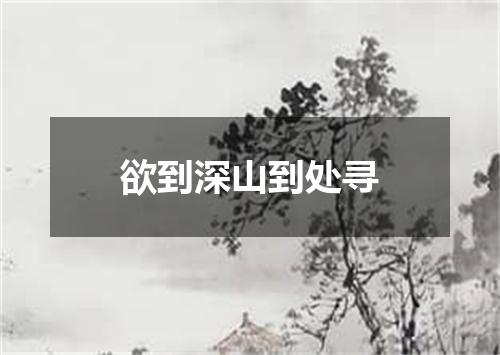 欲到深山到处寻