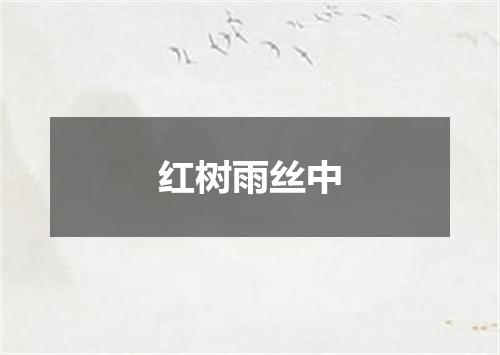 红树雨丝中