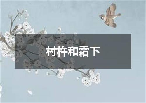 村杵和霜下