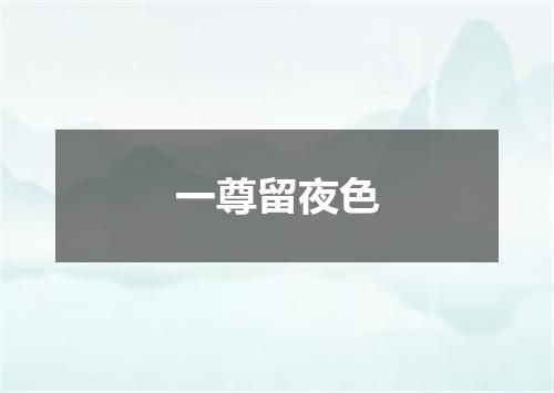 一尊留夜色