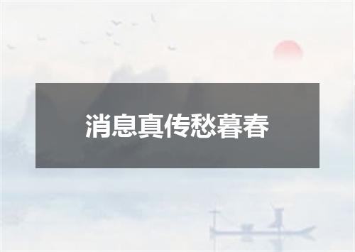 消息真传愁暮春