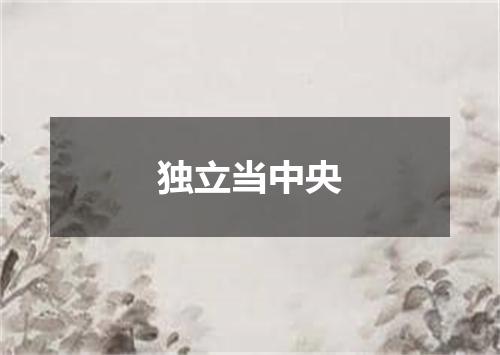 独立当中央