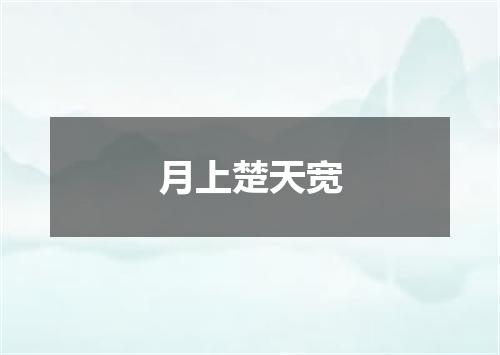 月上楚天宽