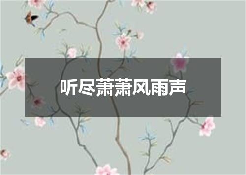 听尽萧萧风雨声