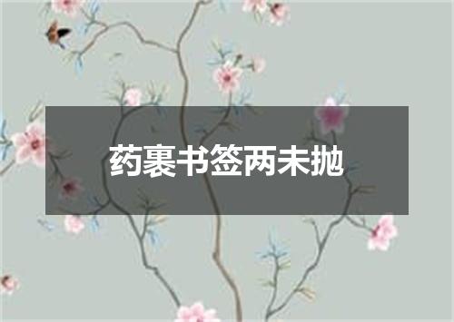 药裹书签两未抛
