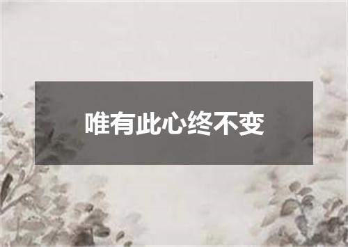 唯有此心终不变