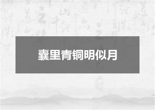 囊里青铜明似月