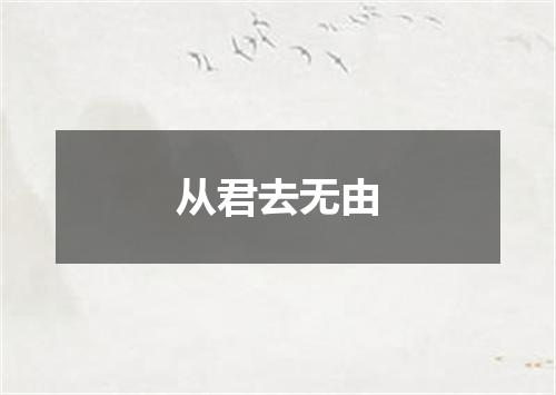 从君去无由