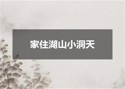 家住湖山小洞天