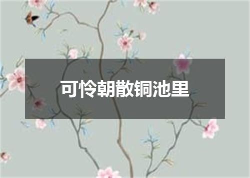 可怜朝散铜池里