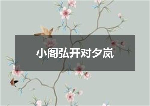 小阁弘开对夕岚