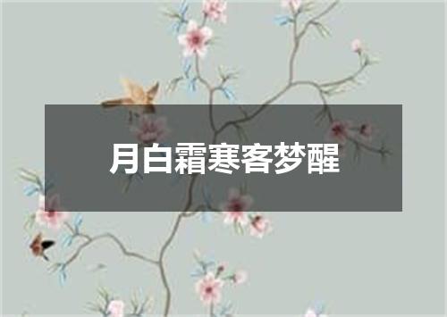 月白霜寒客梦醒