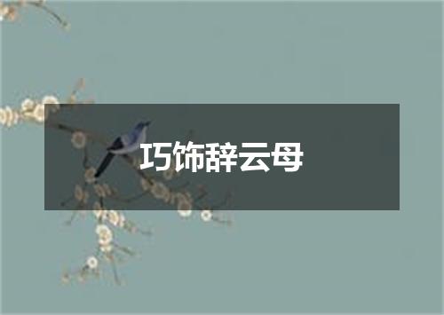 巧饰辞云母