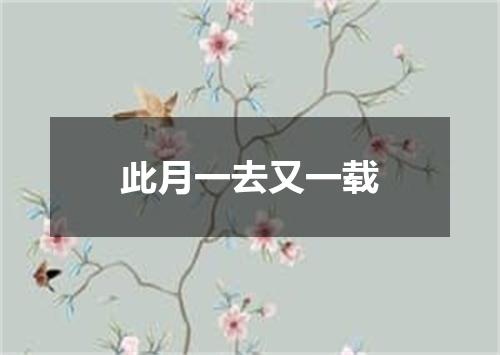 此月一去又一载